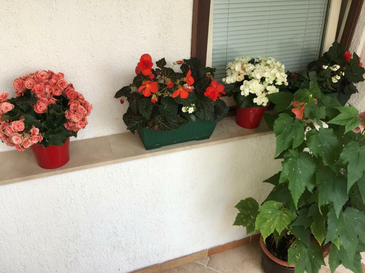 Apartment Lucija Novi Vinodolski Esterno foto