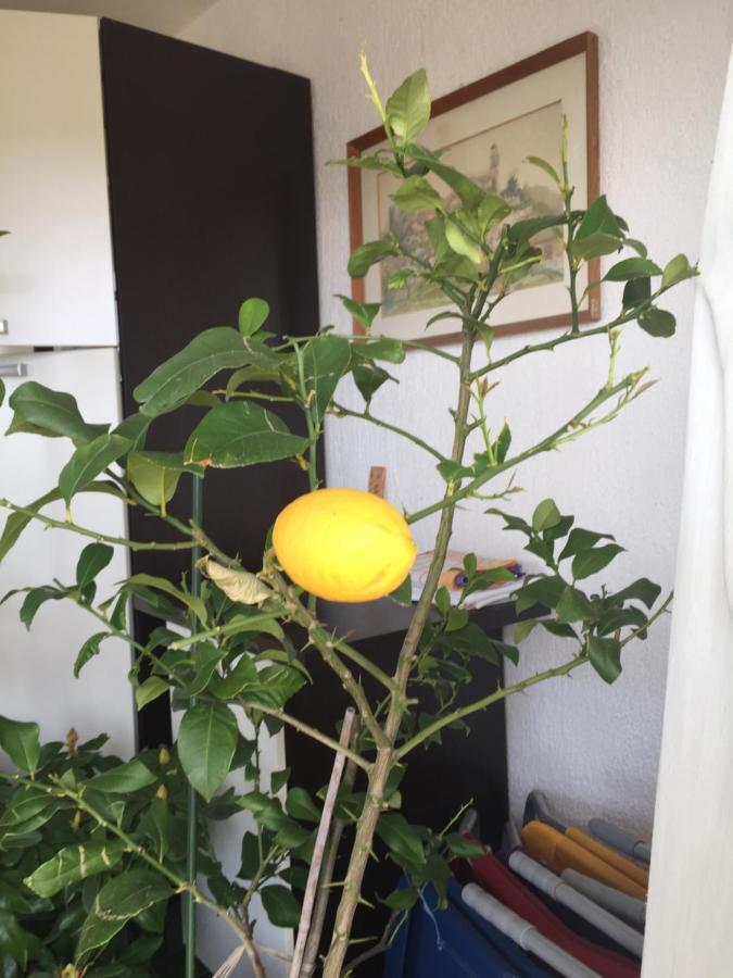 Apartment Lucija Novi Vinodolski Esterno foto